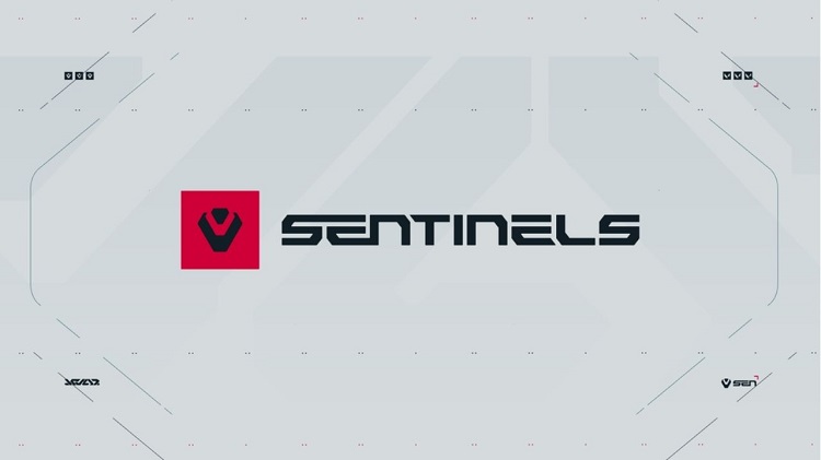 Sentinels Fortnite Roster 2023 - Disbanding the Team